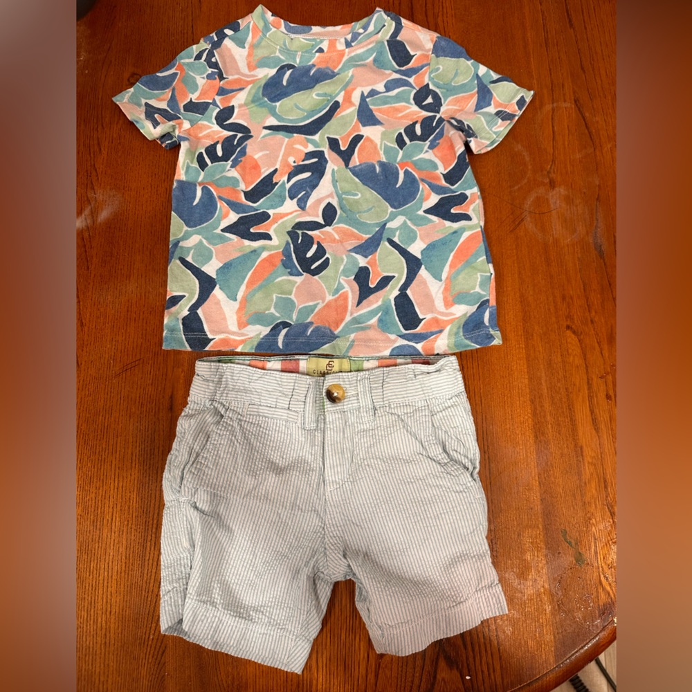 3 for $10! Multicolor Leaf Shirt and Striped Shorts